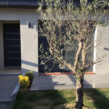 Les 2 Amandiers Villa Laroque-des-Albères Eksteriør billede